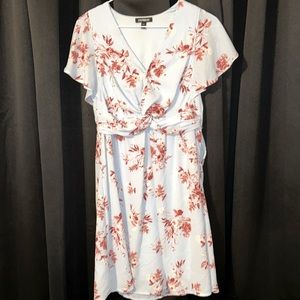 Express spring dress